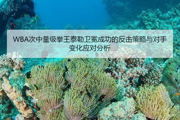 WBA次中量级拳王泰勒卫冕成功的反击策略与对手变化应对分析