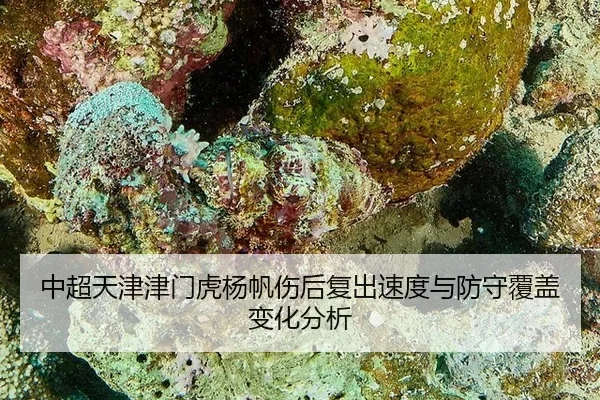 中超天津津门虎杨帆伤后复出速度与防守覆盖变化分析