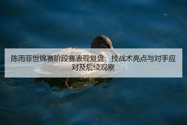 陈雨菲世锦赛阶段赛表现复盘：技战术亮点与对手应对及后续观察