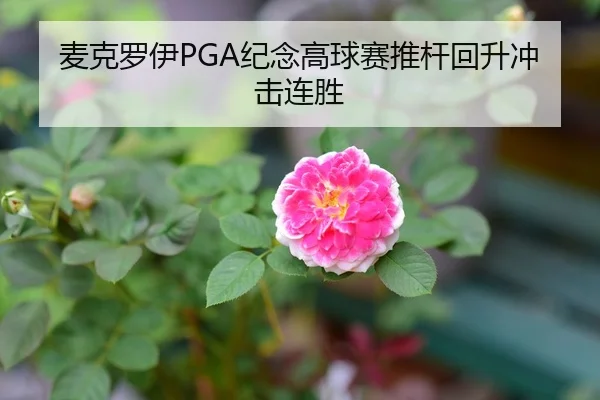麦克罗伊PGA纪念高球赛推杆回升冲击连胜